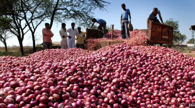 পেঁয়াজ রফতানিতে শুল্ক প্রত্যাহার করলো ভারত