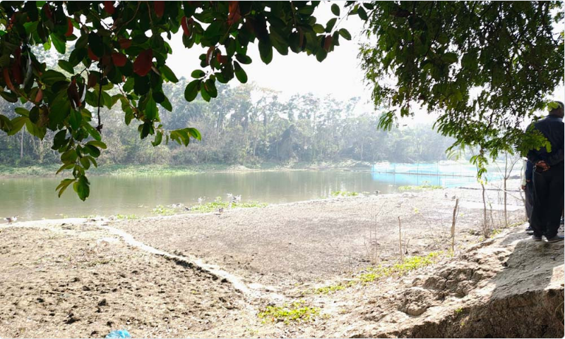 মাটিলা সীমান্তের কোদলা নদী